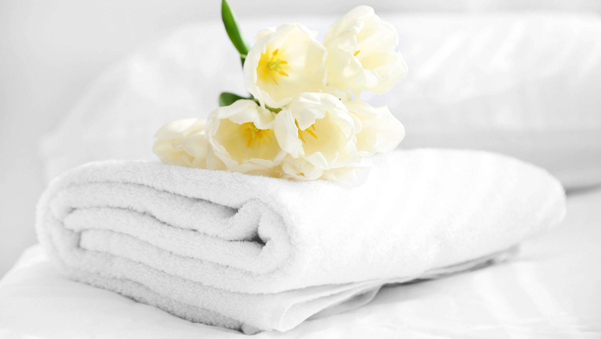Magnuson Hotel Nashville North Goodlettsville Εξωτερικό φωτογραφία